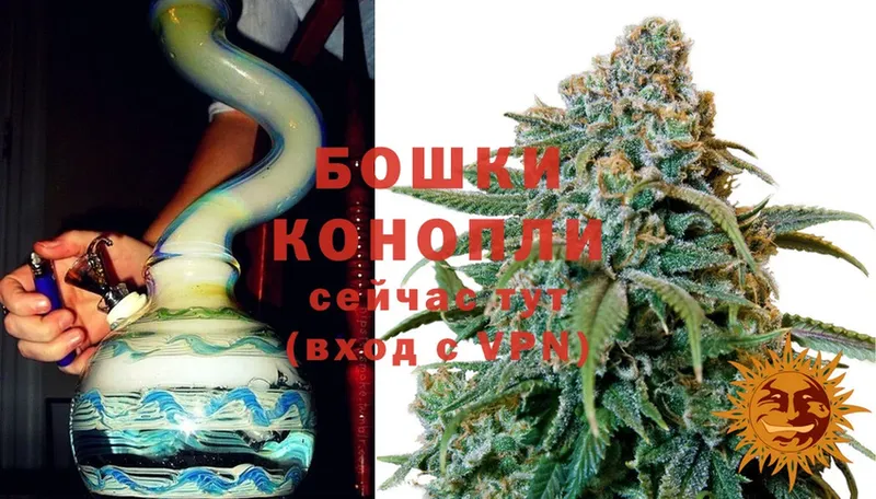 продажа наркотиков  Петров Вал  Марихуана Ganja 